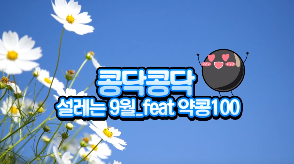 [약콩두유] 콩닥콩닥 설레는 9월_feat.약콩100