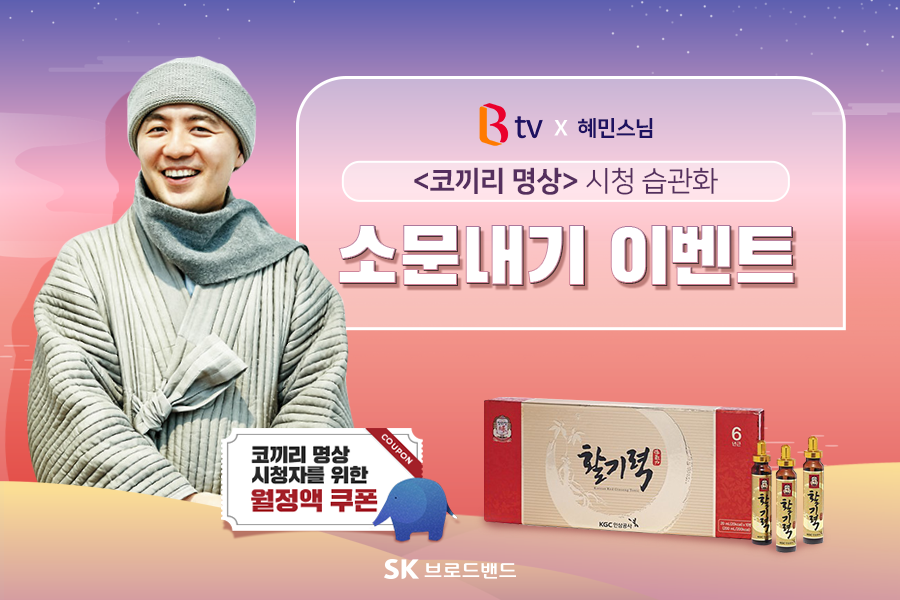 SK 브로드밴드
