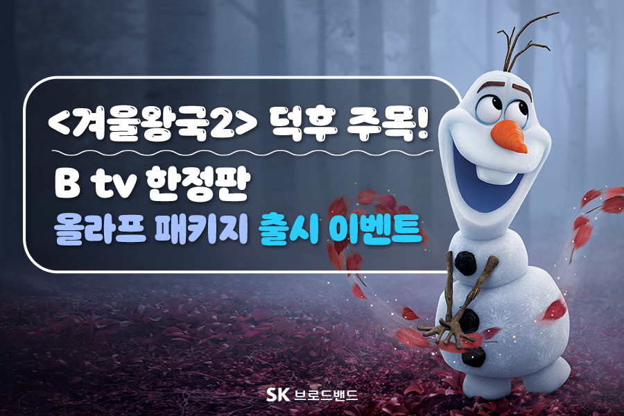 SK 브로드밴드