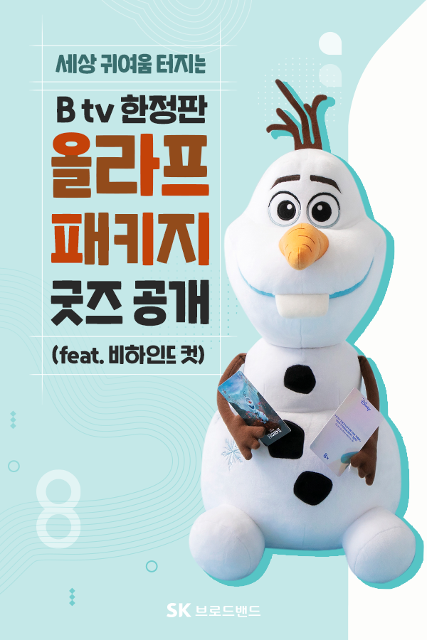 SK 브로드밴드