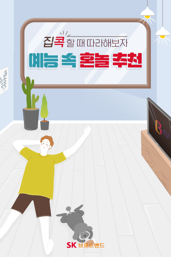 SK브로드밴드