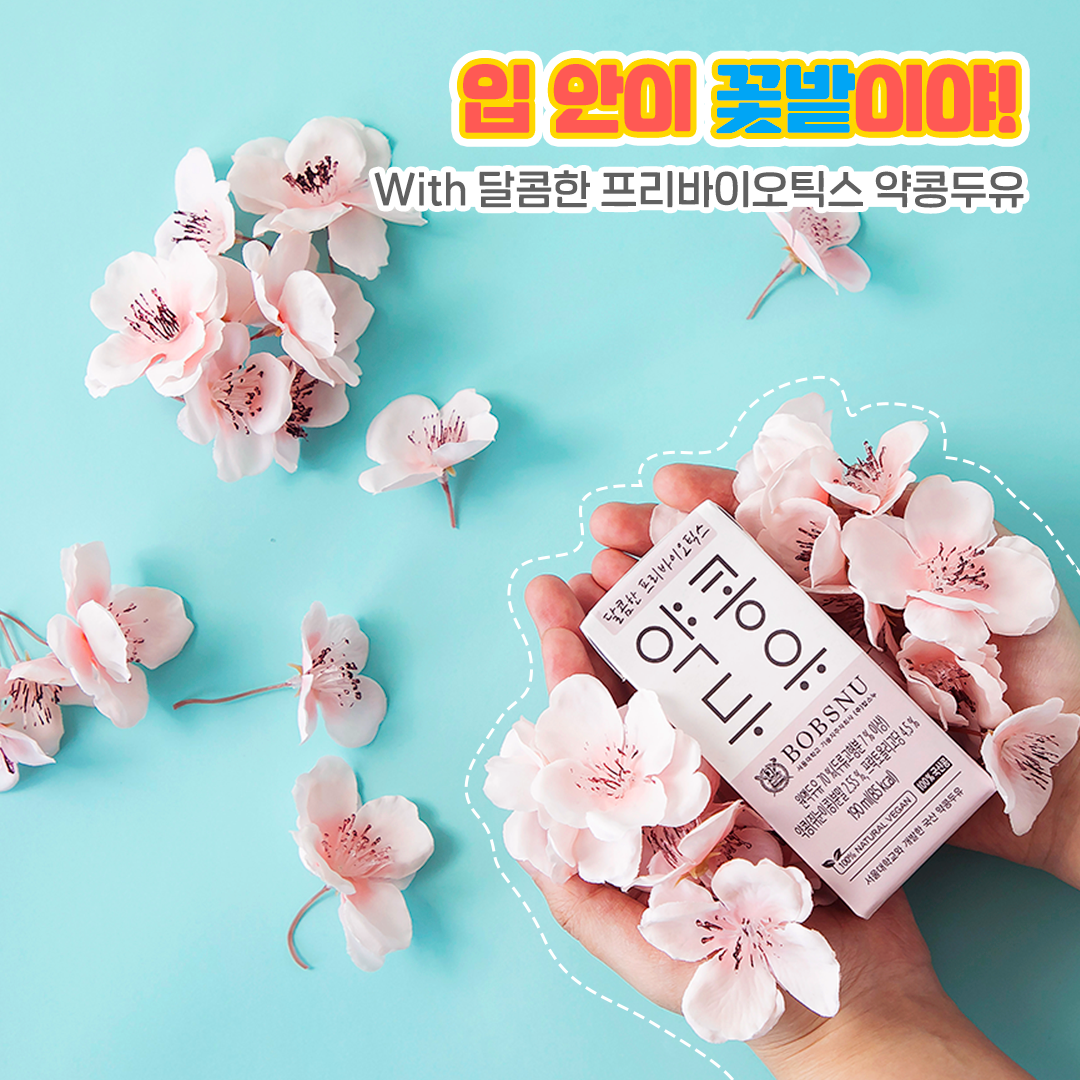 약콩두유