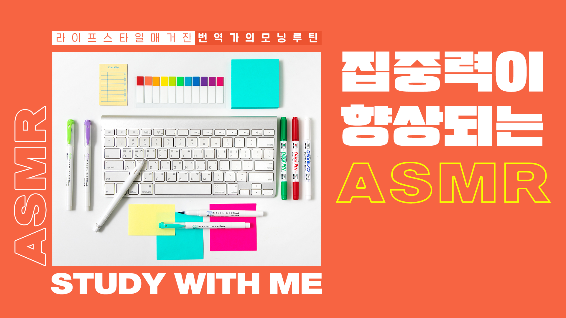 제브라 – 집중력이 향상되는 ASMR