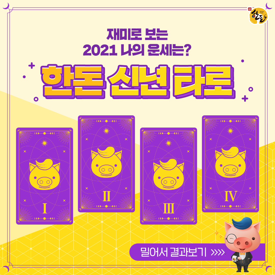 12월 한돈 : 2021년 나의 신년 운세를 한돈 신년 타로 카드로 알아보자!