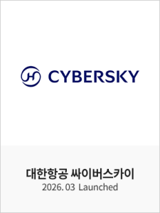 싸이버스카이