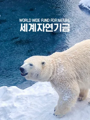 WWF