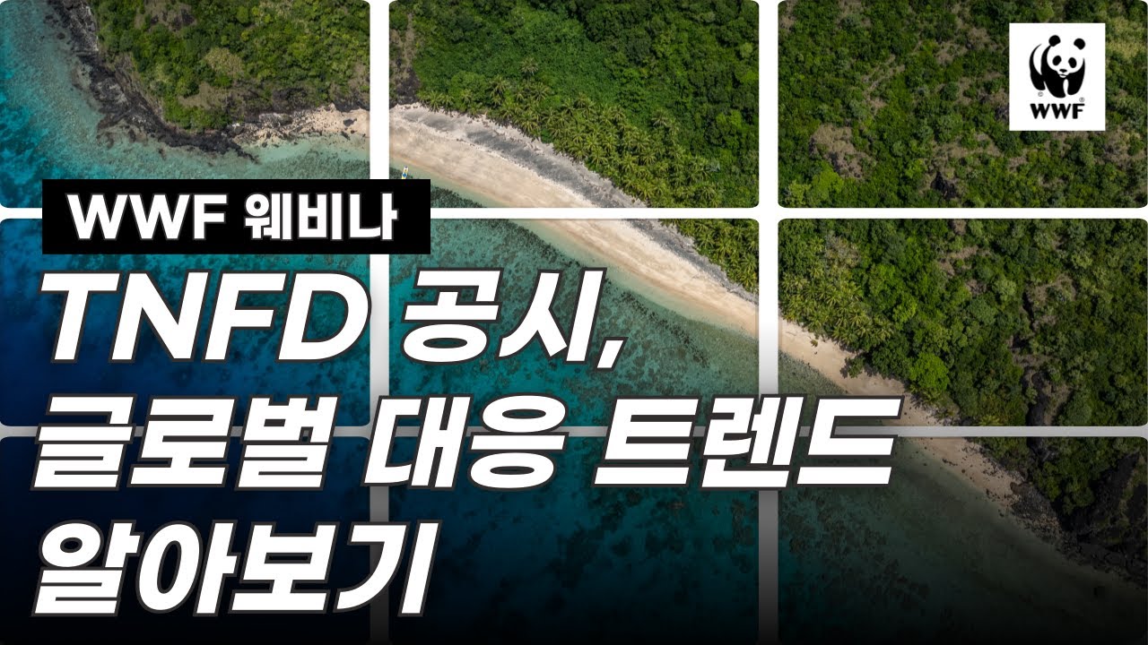 TNFD 공시, 이제 선택이 아닌 생존이다? 글로벌 리스크 대응 실무 전략 총정리