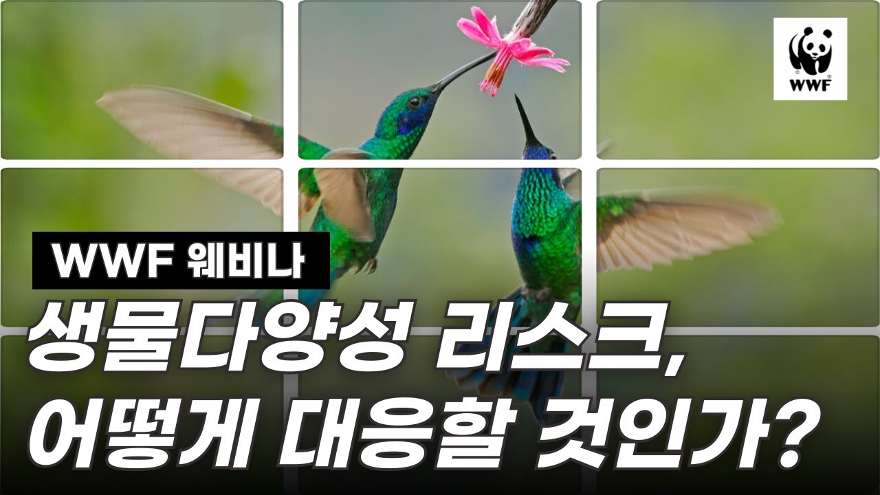 생물다양성 위기, 기업의 생존 전략을 묻다