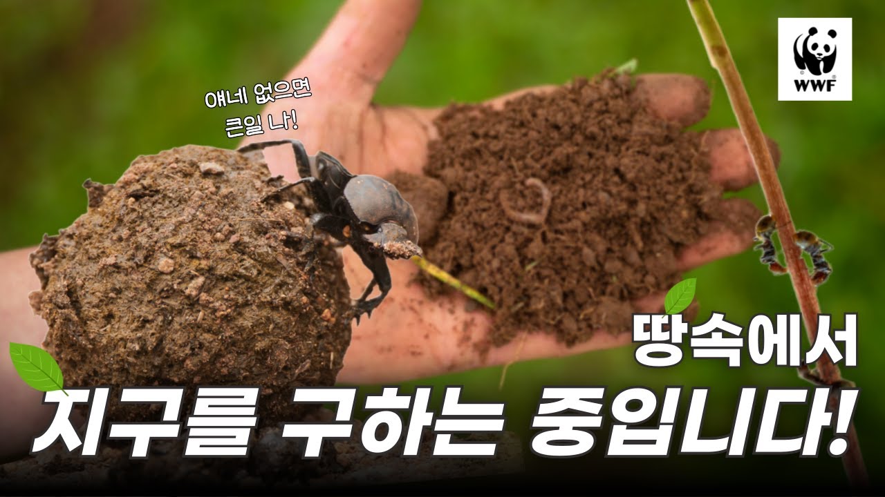 지구를 살리는 땅속의 작은 영웅, 그 정체는?