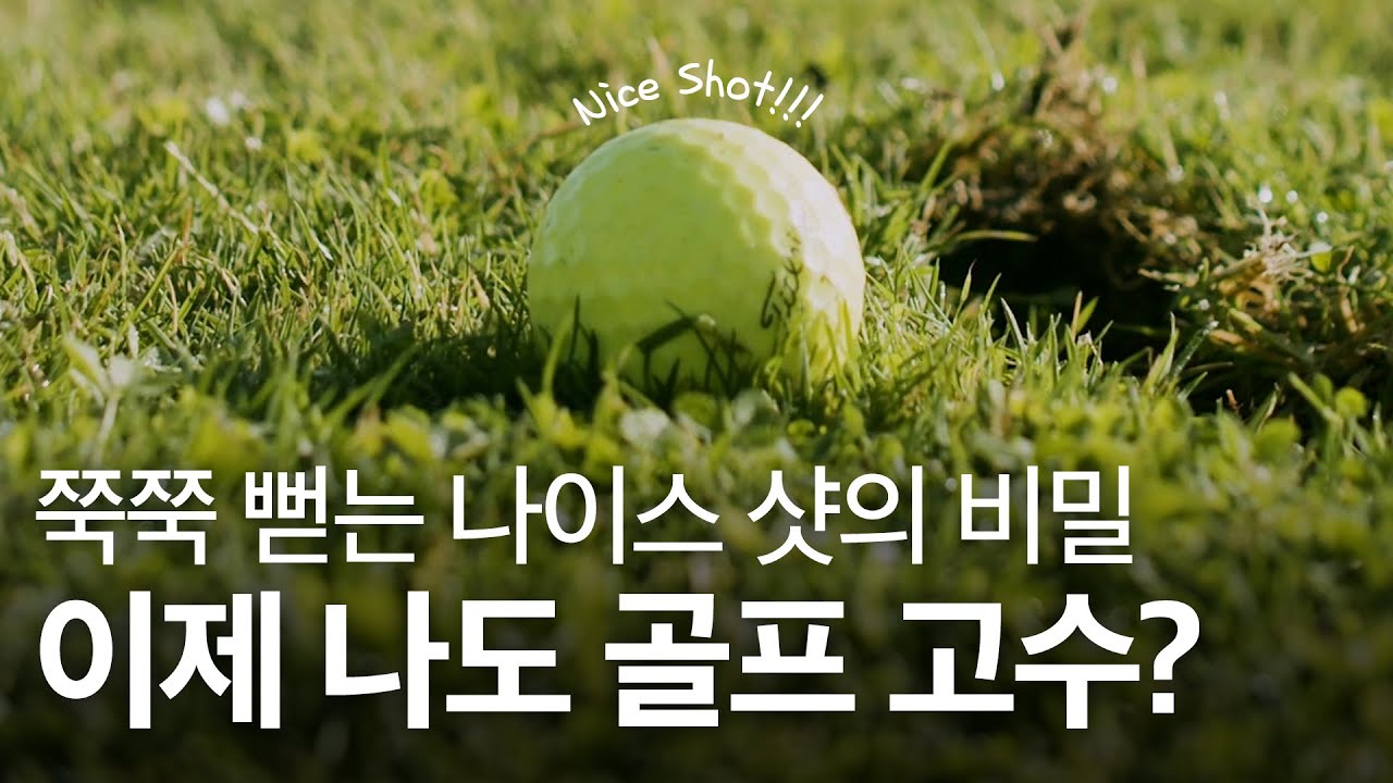 6월 SK지오센트릭 : 원료의 정석 골프공 편