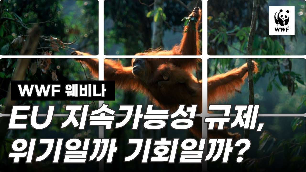EU 규제는 위기일까 기회일까? 글로벌 기업 필수 생존 전략!