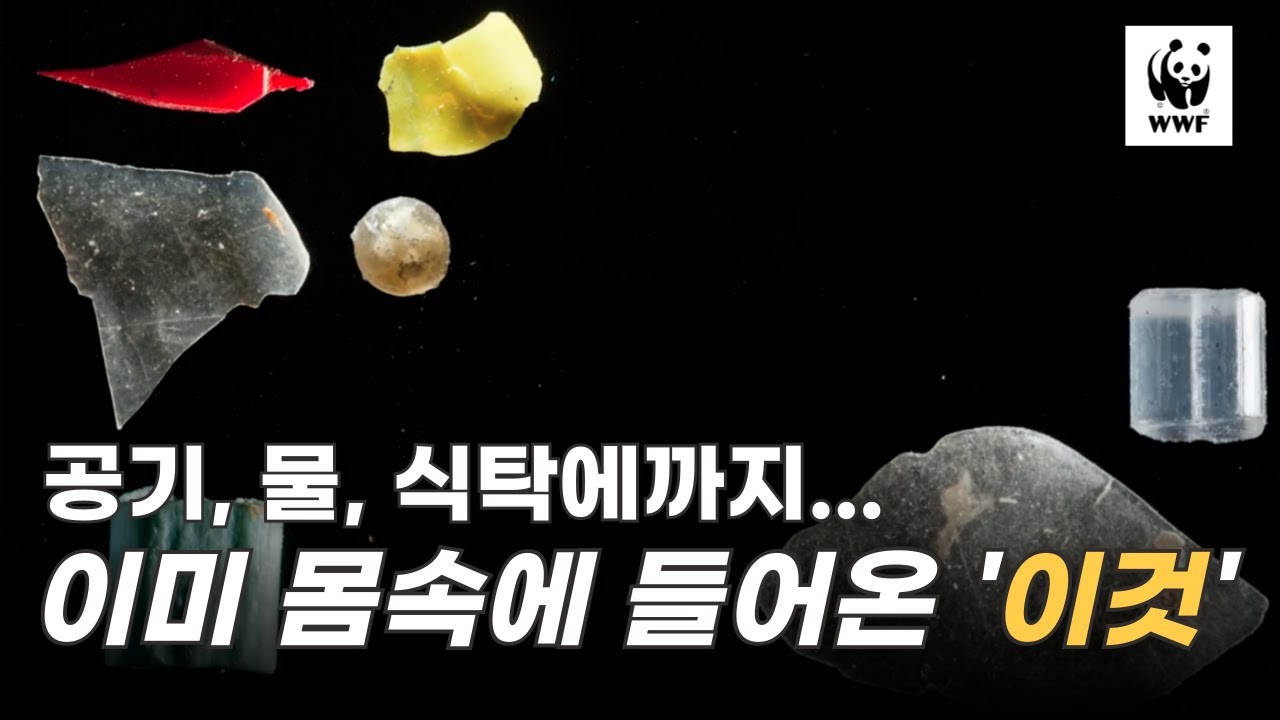 내 몸속에 플라스틱이? 우리가 몰랐던 환경의 역습!